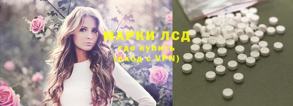 стафф Осташков