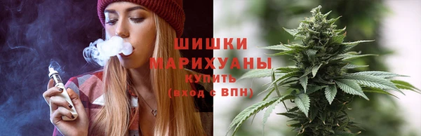 стафф Осташков