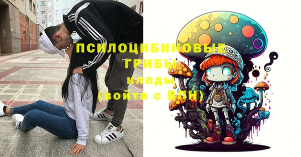 мескалин Осинники