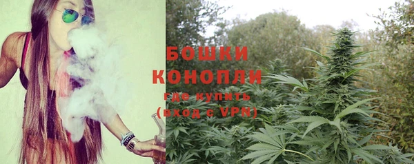 мескалин Осинники