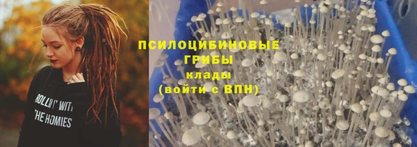 мескалин Осинники
