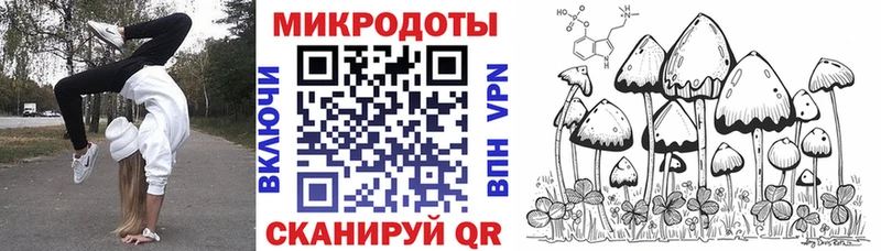 Псилоцибиновые грибы Cubensis Шиханы