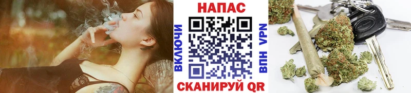 Шишки марихуана марихуана  Шиханы 